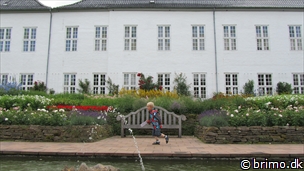 Miniature af billede nummer 2118