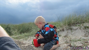 Miniature af billede nummer 2121