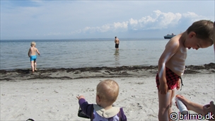 Miniature af billede nummer 2125