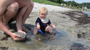 Miniature af billede nummer 2126