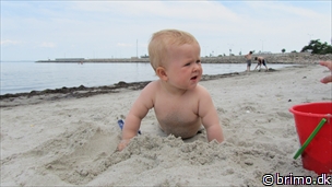 Miniature af billede nummer 2127