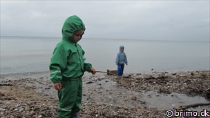 Miniature af billede nummer 2135