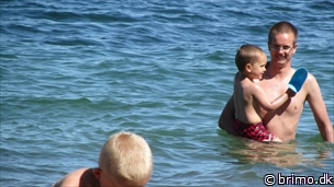 Miniature af billede nummer 2144