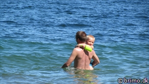 Miniature af billede nummer 2145