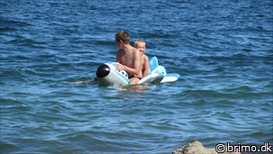 Miniature af billede nummer 2146