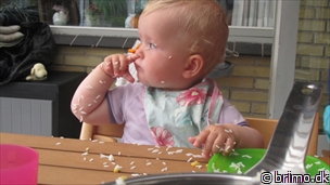 Miniature af billede nummer 2147