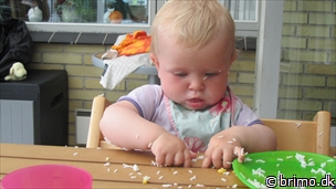 Miniature af billede nummer 2148