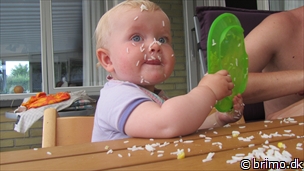 Miniature af billede nummer 2149