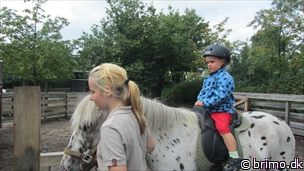 Miniature af billede nummer 2153