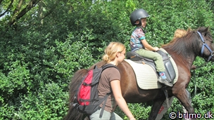 Miniature af billede nummer 2155