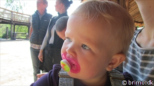 Miniature af billede nummer 2170