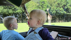 Miniature af billede nummer 2172