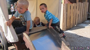 Miniature af billede nummer 2174