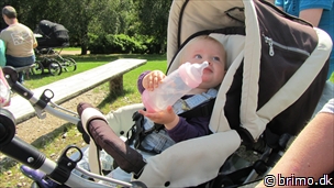 Miniature af billede nummer 2175