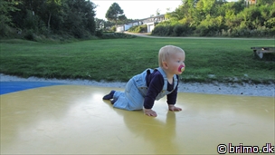 Miniature af billede nummer 2176