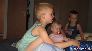 Miniature af billede nummer 2185