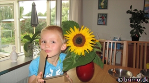 Miniature af billede nummer 2188