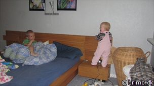 Miniature af billede nummer 2190