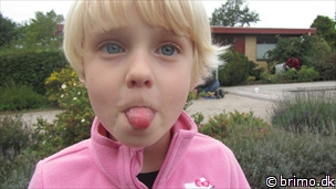 Miniature af billede nummer 2202