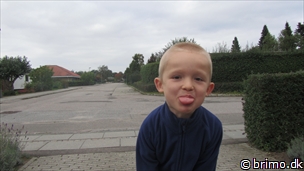 Miniature af billede nummer 2203