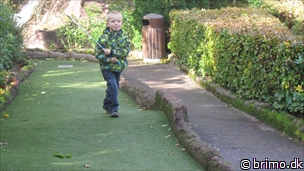 Miniature af billede nummer 2218