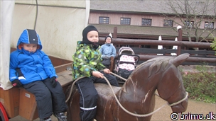 Miniature af billede nummer 2221