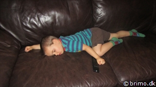 Miniature af billede nummer 2246