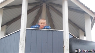 Miniature af billede nummer 2248