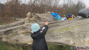 Miniature af billede nummer 2249