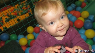 Miniature af billede nummer 2252