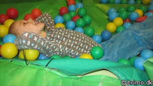 Miniature af billede nummer 2253