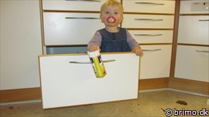 Miniature af billede nummer 2255