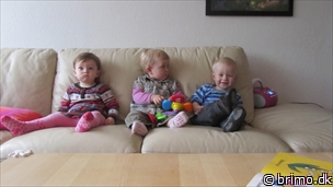 Miniature af billede nummer 2256