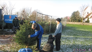 Miniature af billede nummer 2264