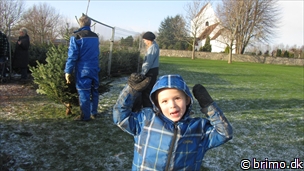 Miniature af billede nummer 2265