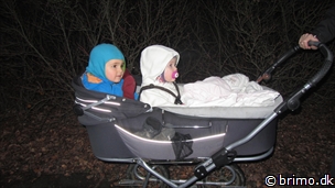 Miniature af billede nummer 2285