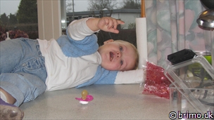 Miniature af billede nummer 2288