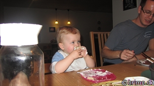 Miniature af billede nummer 2289