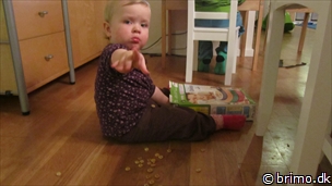 Miniature af billede nummer 2301