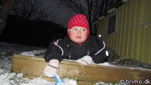 Miniature af billede nummer 2303