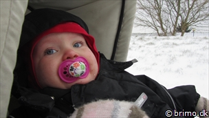 Miniature af billede nummer 2305