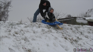 Miniature af billede nummer 2306