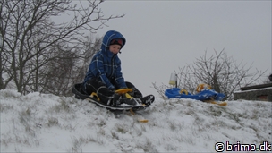 Miniature af billede nummer 2307