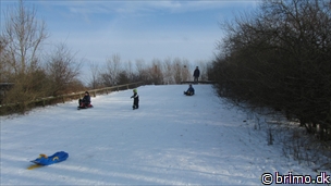 Miniature af billede nummer 2309