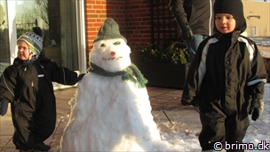 Miniature af billede nummer 2311