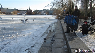 Miniature af billede nummer 2312