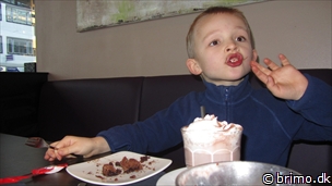 Miniature af billede nummer 2314