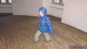 Miniature af billede nummer 2321