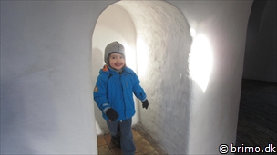 Miniature af billede nummer 2322