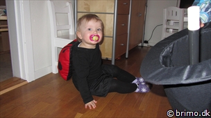 Miniature af billede nummer 2328